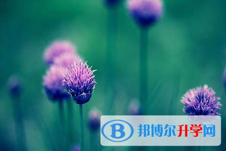 自貢2021年中考網絡服務平臺