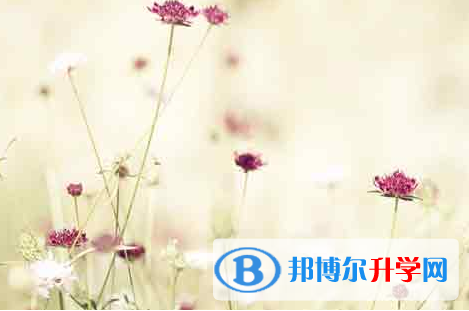 自貢2021年中考網絡應用服務平臺