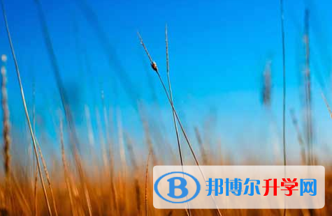 自貢2021年中考網上報考信息平臺