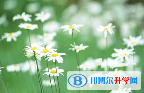 自貢2021年中考網上報名