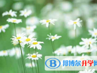 自貢2021年中考網上報名