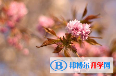 自貢2021年中考網上查詢