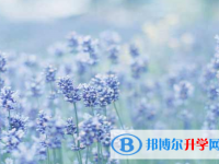 自貢2021年中考藝體時間