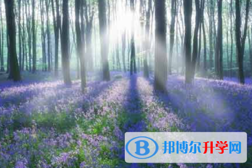 自貢2021年中考預估重點線
