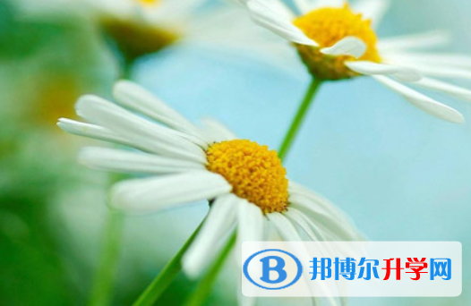 自貢2021年中考怎樣調劑
