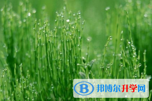 自貢2021年中考招生計(jì)劃查詢(xún)
