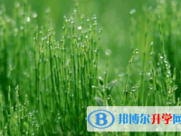 自貢2021年中考招生計劃查詢