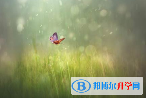 自貢2021年中考招生考試查詢系統