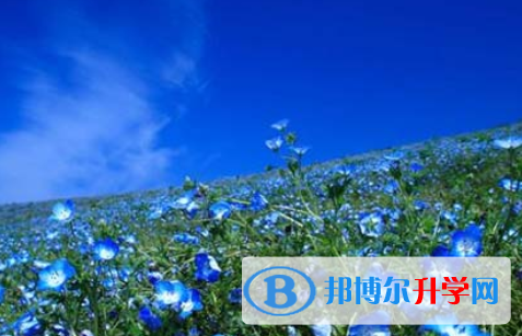 自貢2021年中考招生網絡應用服務平臺