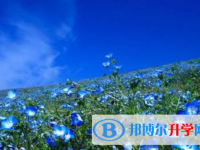 自貢2021年中考招生網絡應用服務平臺