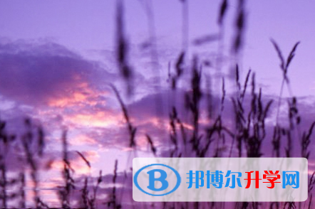 自貢2021年中考錄取通知書