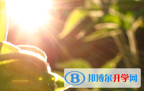 自貢2021年中考升學率