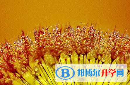 自貢2021年中考時間安排