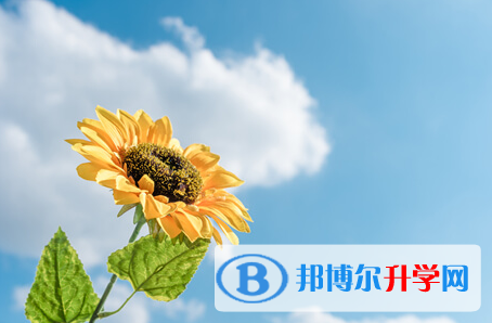 自貢2021年中考應對策略