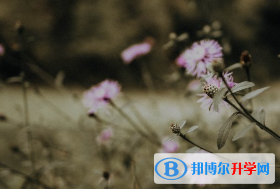 自貢2021年中考重點復習