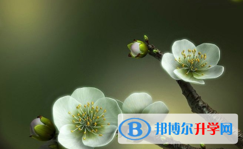 自貢2021年中考注意事項和技巧