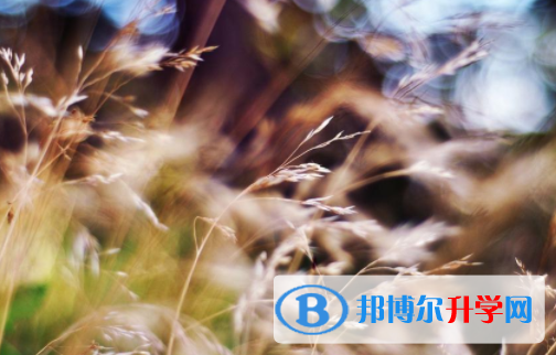 自貢2021年中考準考證丟了怎么辦
