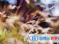 自貢2021年中考準考證丟了怎么辦