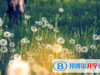 自貢2021年中考有不有補錄