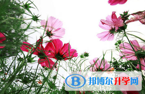 自貢2021年中考需要準備什么