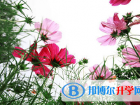 自貢2021年中考需要準備什么
