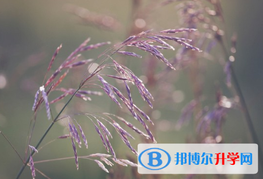 自貢2021年中考200多的哪些學(xué)校要