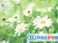 自貢2021年沒有學(xué)籍可以參加中考嗎