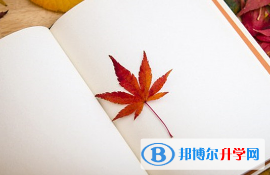 攀枝花2021年中考看成績是在哪個網站