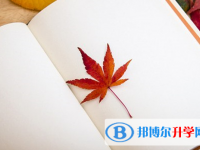 攀枝花2021年中考看成績是在哪個網(wǎng)站