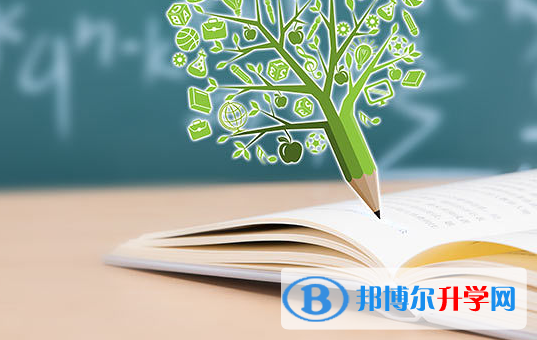 攀枝花2021年歷年中考重點