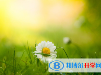 攀枝花2021年中考報名網