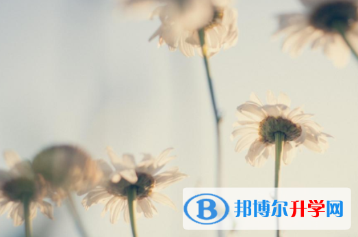 攀枝花2021年中考報名需要帶什么