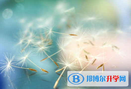 攀枝花2021年中考報志愿時間