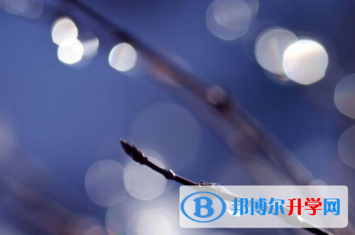 攀枝花2021年中考查詢系統的密碼記不到了怎么辦