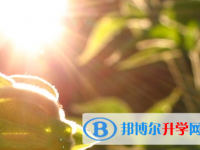 攀枝花2021年中考人數