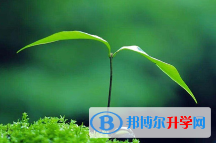 攀枝花2021年中考升學錄取比例