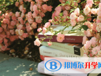 攀枝花2021年中考網絡平臺