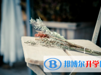 攀枝花2021年中考網絡應用服務平臺