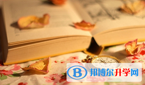 攀枝花2021年中考網絡應用平臺