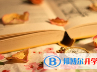 攀枝花2021年中考網絡應用平臺