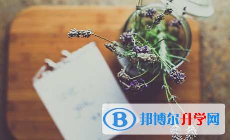 攀枝花2021年中考網上報考信息平臺
