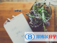 攀枝花2021年中考網上報考信息平臺