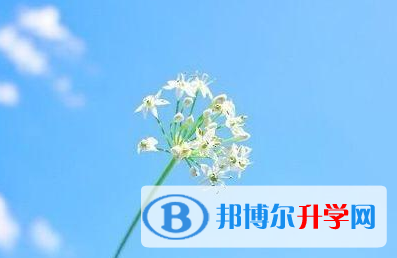 攀枝花2021年中考網上報名模擬