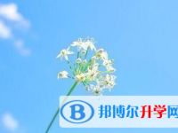 攀枝花2021年中考網上報名模擬