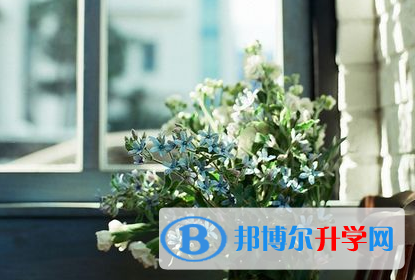攀枝花2021年中考網上報名系統