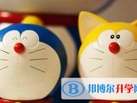 攀枝花2021年中考怎樣調劑