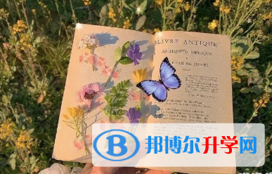 攀枝花2021年中考招生計劃查詢