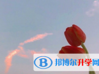攀枝花2021年中考招生網絡應用服務平臺
