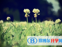 攀枝花2021年中考志愿官網