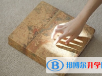 攀枝花2021年中考重點復習資料